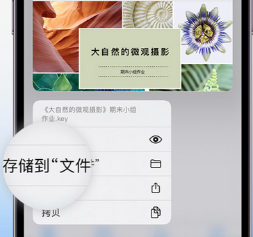 山南apple维修中心分享iPhone文件应用中存储和找到下载文件