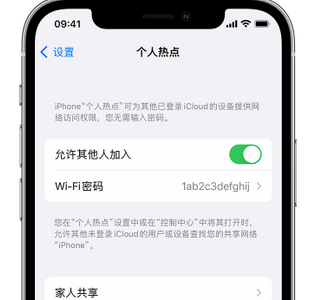 山南apple服务站点分享iPhone上个人热点丢失了怎么办