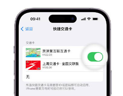 山南apple维修点分享iPhone上更换Apple Pay快捷交通卡手绘卡面 