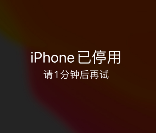 山南苹果手机维修分享:iPhone 显示“不可用”或“已停用”怎么办？还能保留数据吗？ 