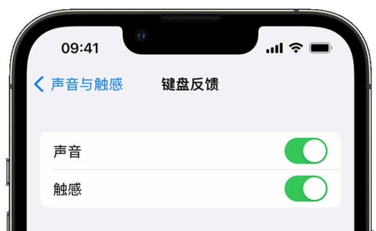 山南苹果手机维修分享iPhone 14触感键盘使用方法 