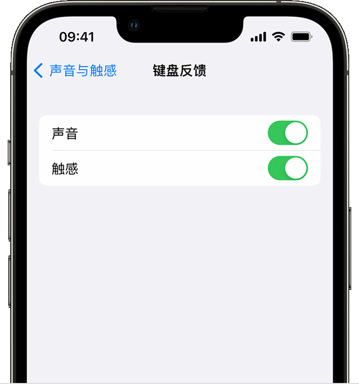 山南苹果14维修店分享如何在 iPhone 14 机型中使用触感键盘 