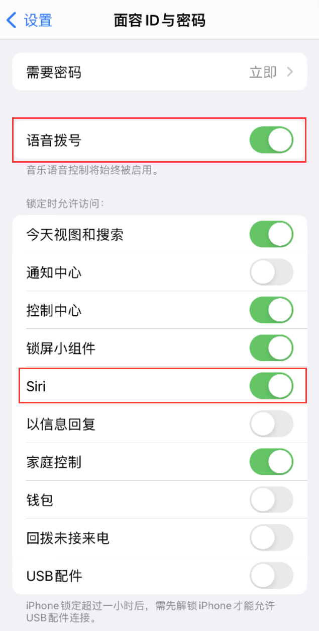 山南苹果维修网点分享不解锁 iPhone 的情况下通过 Siri 拨打电话的方法 