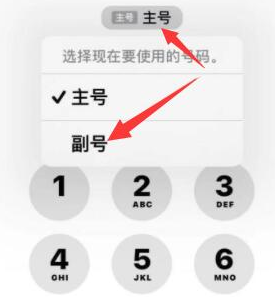 山南苹果14维修店分享iPhone 14 Pro Max使用副卡打电话的方法 