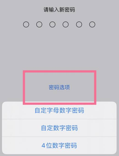 山南苹果14维修分享iPhone 14plus设置密码的方法 