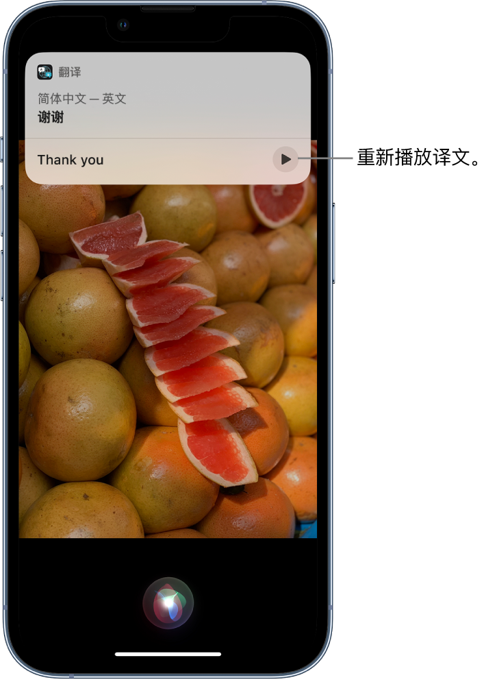 山南苹果14维修分享 iPhone 14 机型中使用 Siri：了解 Siri 能帮你做什么 