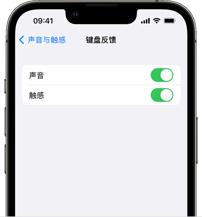 山南苹果14维修分享iPhone 14 系列机型如何开启键盘声音或触感反馈 