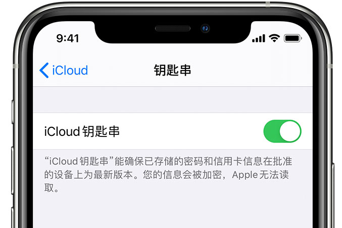 山南苹果手机维修分享在 iPhone 上开启 iCloud 钥匙串之后会储存哪些信息 