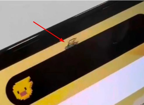 山南苹果14维修分享iPhone 14 Pro Max灵动岛怎么养宠物 