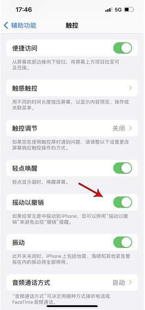 山南苹果手机维修分享iPhone手机如何设置摇一摇删除文字 