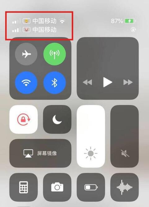 山南苹果手机维修分享为 iPhone 12 双卡设置标签 